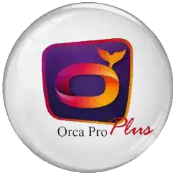 12 mois de streaming continu avec Orca IPTV.